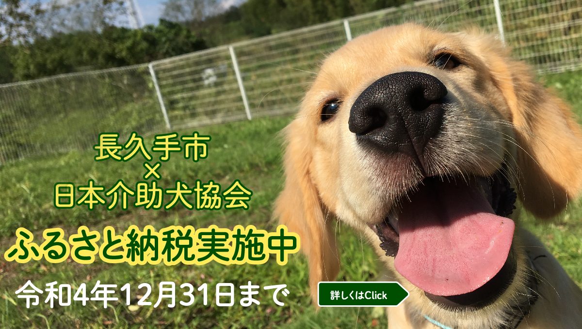 社会福祉法人 日本介助犬協会