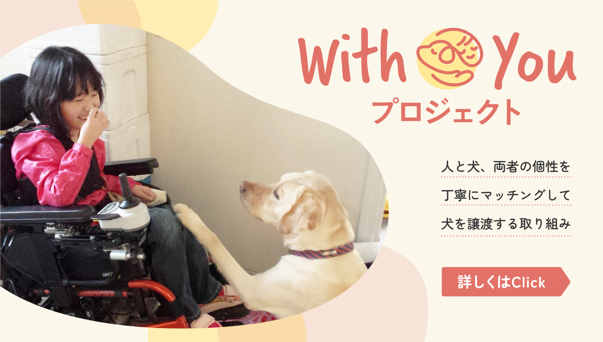 社会福祉法人 日本介助犬協会