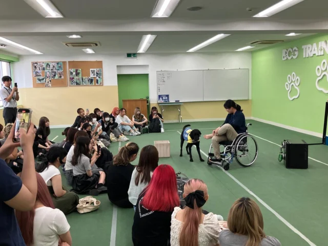 .
専門学校名古屋ビジネス・アカデミーさまで講演をさせていただきました！ 

学生のみなさんがとても熱心に耳を傾けてくださり、 
たくさんの質問もいただきました。 

貴重な機会をありがとうございました！

#介助犬 #シンシアの丘 #pr犬 #講演