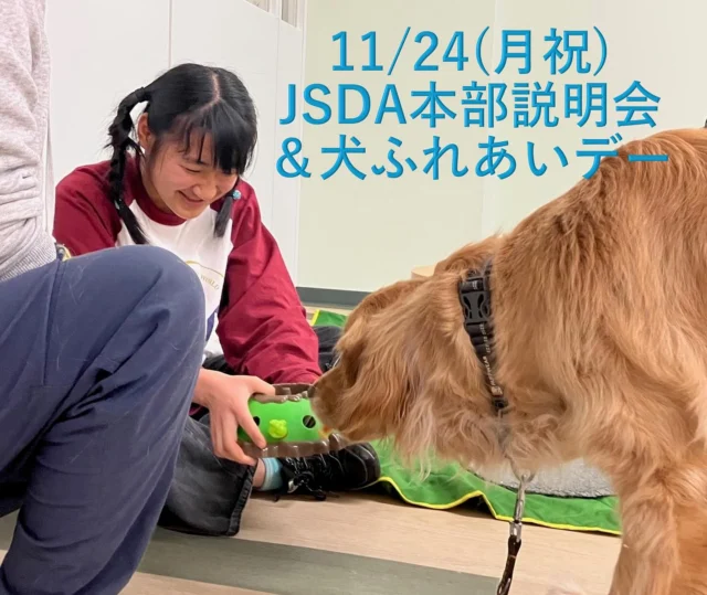 11月24日(月祝)【 JSDA本部説明会＆犬とのふれあい会】開催のお知らせ
 
WithYouプロジェクトに興味のある方
本部犬預かりボランティアに興味のある方
日本介助犬協会に興味のある方
研修生制度に興味のある方　．．．．etc
 
様々な興味から当会に関心を持って下さった方にお気軽にご参加頂ける「JSDA本部説明会＆犬とのふれあい会（11月）」を開催します。
 
■日時：11月24日（月祝）
（午前）10:30～11:30
（午後）13:30～14:30
 
■場所：本部事務所
（神奈川県横浜市港北区新横浜2-5-9新横浜フジカビル3F）
※駐車場はありませんので車の方は近隣のパーキングをご利用ください。
 
■内容
・日本介助犬協会についての説明
・介助犬デモンストレーション
・犬とのふれあい
・各種説明　※興味のある内容について個別にご説明致します。
（・OTドッグプログラムのご紹介）
 
事前申込制となります。
詳細はHPをご確認下さい。
 
🌸WithYouプロジェクトとは、障がい者・障がい児の方等がいるご家庭に対し丁寧にマッチングして犬を譲渡する取り組みです。
 
🌸本部犬預かりボランティアとは、本部近郊にお住いの方でPR犬、DI犬、訓練犬などをお預かりいただくご家族です。
※PR犬とはイベントや講演会等で介助犬のお仕事を紹介する犬。
※DI犬とは動物介在活動や動物介在療法などで活躍する犬。
 
🌸OTドッグプログラムとは、犬のケアや遊び・合図出しなどをトレーナーと一緒に行う個別プログラムです。OT（作業療法士）と介入目的や計画などを相談しながら進めます。新たにトライアル的に実施を開始しておりますのでご興味のある方はJSDA本部説明会ご参加時に紹介することが可能です。

#日本介助犬協会
#新横浜#本部
#ラブラドールレトリバー
#ゴールデンレトリバー
#ミックス
#スタンダードプードル