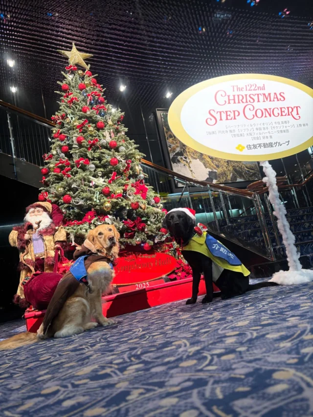 🐾

🎄第122回 クリスマスステップコンサート（大阪公演）🎶

PR犬と一緒に募金活動を行いました
開演前には介助犬のデモンストレーションも実施しました♪

たくさんの方が足を止めてくださり
介助犬について知っていただく機会となりました！

長年ご支援いただいている住友不動産グループの皆さま
そしてご来場・ご協力くださった皆さま
本当にありがとうございました！！

#日本介助犬協会 #シンシアの丘 #クリスマス 
#住友不動産グループ #ステップコンサート
