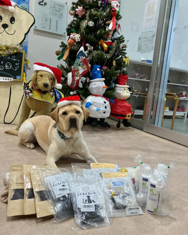 Amazon欲しいものリストより犬用オヤツと保湿剤（ヒュミラック）をいただきました！犬たちにとって嬉しいクリスマスプレゼントです🎄🎅

ありがとうございます！大切に使います。
フクとバニラより

#日本介助犬協会
#介助犬
#Amazon欲しいものリスト
#ご寄付