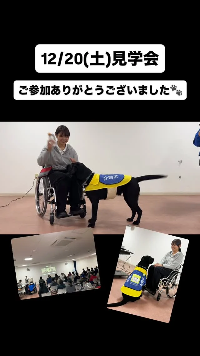🐾
12/20(土)一般見学会を開催しました！
ご参加いただいた皆さまありがとうございました♪

次回は1/10(土)開催です！
お申し込みはHPから
https://s-dog.jp/archives/tour/4220

#シンシアの丘 #日本介助犬協会 
#見学会