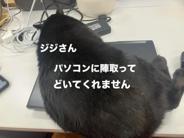 Instagram 投稿 17885855055429024