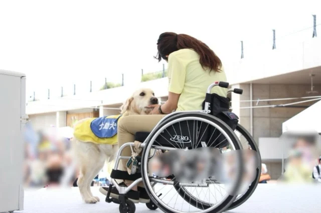🐾

介助犬フェスタ開催についてのお知らせ！

介助犬フェスタの次回開催は、2027年3月27日（土）に愛・地球博記念公園で開催予定です。（2026年の開催はありません。）なお、「感謝の集い～認定報告会～」につきましては、介助犬フェスタと同日・同会場にて開催いたしますことを併せてお知らせいたします。

少し先になりますが、楽しみにお待ちいただけますと幸いです♪

#介助犬フェスタ
#日本介助犬協会
#介助犬
#イベント