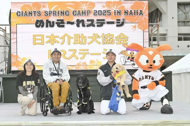 .
📣イベントのお知らせ

本年も読売巨人軍 春季那覇キャンプにて
介助犬PR活動を行います🐾

ぜひ行かれる方、お近くの方はお越しください♪

●日程
2026年2月14日(土)練習日
　　　　2月15日(日)練習試合日

●場所
沖縄セルラースタジアム那覇

●ブース
10時〜16時頃
※終了時間はステージ時間によって変更ある可能性があります
チャリティーグッズ販売、募金活動、資料配布など

●ステージ
14日:10時〜、16時頃
15日:試合開始前(11時過ぎ頃)
※ステージ時間は連絡・試合の状況により変更となる可能性があります

ブースには介助犬使用者さん&介助犬も来ていますので
遊びに来てください♪

#読売巨人軍
#春季那覇キャンプ
#山﨑伊織
#沖縄#那覇#介助犬