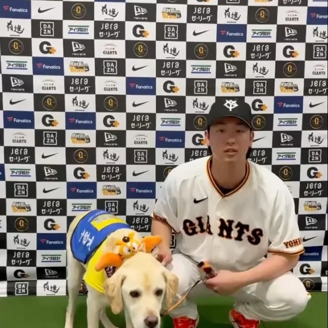 .
読売巨人軍春季那覇キャンプ
2日間ありがとうございました！⚾️

今シーズンも山﨑投手にご協力いただきながら
介助犬PRをしていきたいと思います♪

1枚目:介助犬ロイと触れ合う山﨑投手
2枚目:ステージの様子
3枚目:山﨑投手へのバレンタインプレゼント🎁

14日のステージでお渡しした
バレンタインプレゼントは
当会のチャリティーグッズショップから
お求めいただけます✨
ぜひ山﨑投手とお揃いで介助犬の応援をお願いします🐶

#介助犬#山﨑伊織#19#那覇キャンプ
#読売巨人軍#ジャイアンツ