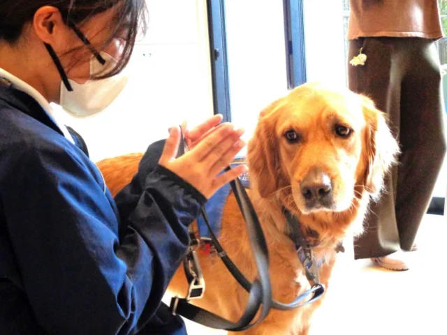 🐾

Dog Intervention®（犬による介入）の活動として
愛知県精神医療センターさんに行ってきました♪

Dog Intervention®の活動については
こちらから↓
https://s-dog.jp/works/dog-Intervention

#日本介助犬協会
#Dog Intervention®
#シンシアの丘