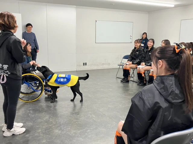 .
3月11日にヴィーナスに新しく加入されたメンバー向け
介助犬講演を行いました！

今シーズンもヴィーナスのみなさんと
コラボしていくので楽しみにしていてください♪

#ヴィーナス#読売巨人軍